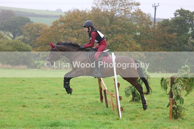 3E7A0909 - Class 1: 65cm: Rails