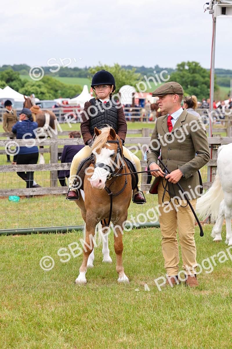 SBM_08335 - Class 42-43 - LIHS BSPS Heritage Working Sports Pony