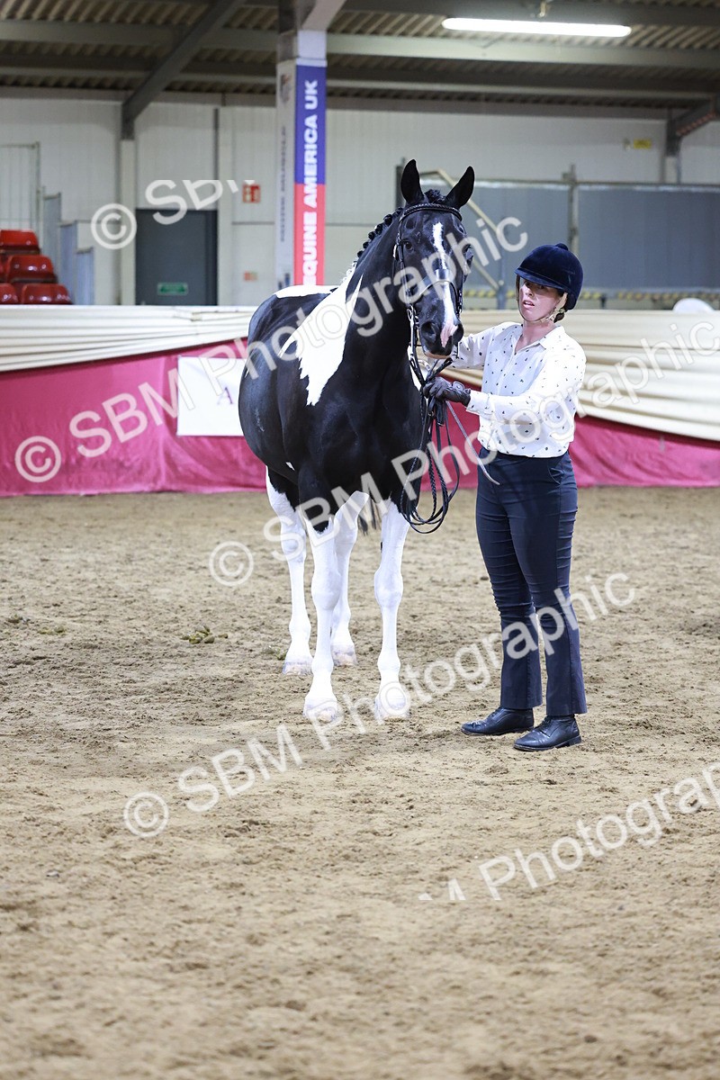 SBM_20841 - Class L - Coloured Champ