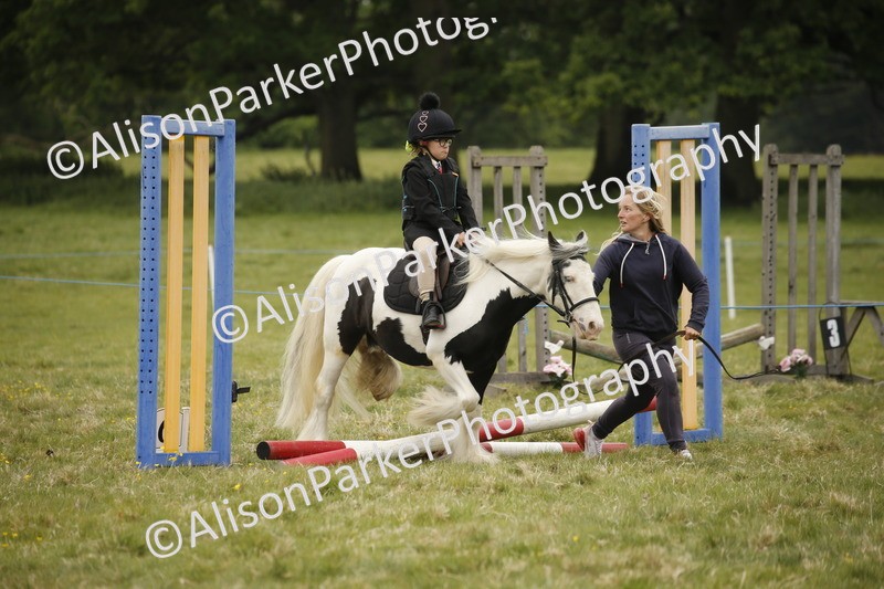 20250517-0221 - Class 1 - 30cm On Lead Rein