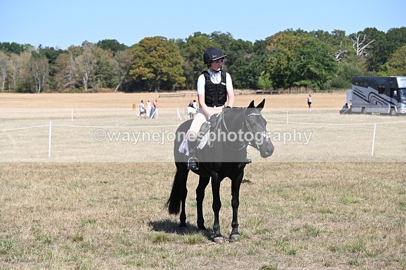 WJ6_9102 - Class 38 Ridden Riding Horse/Pony
