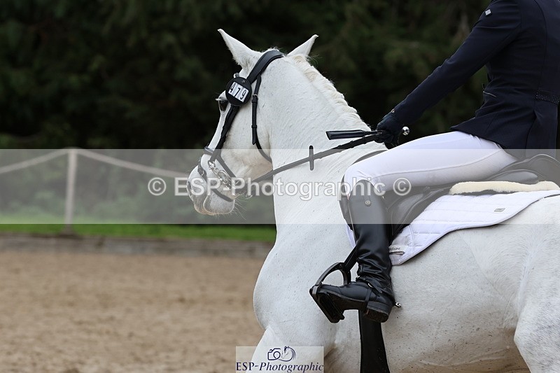 251026A-142252-26293 - F-479-Poppy.Wellman