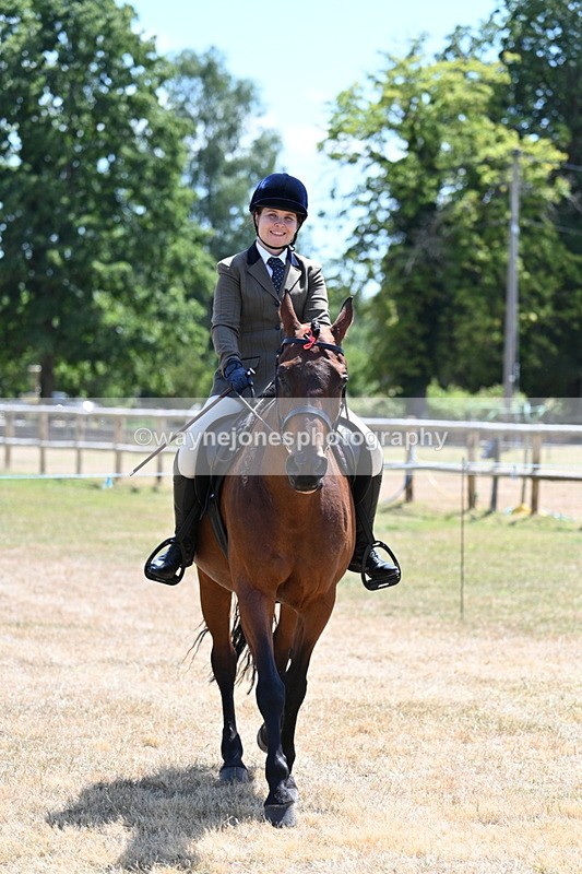 WJ7_2831 - Class 7 Riding Club Show Horse