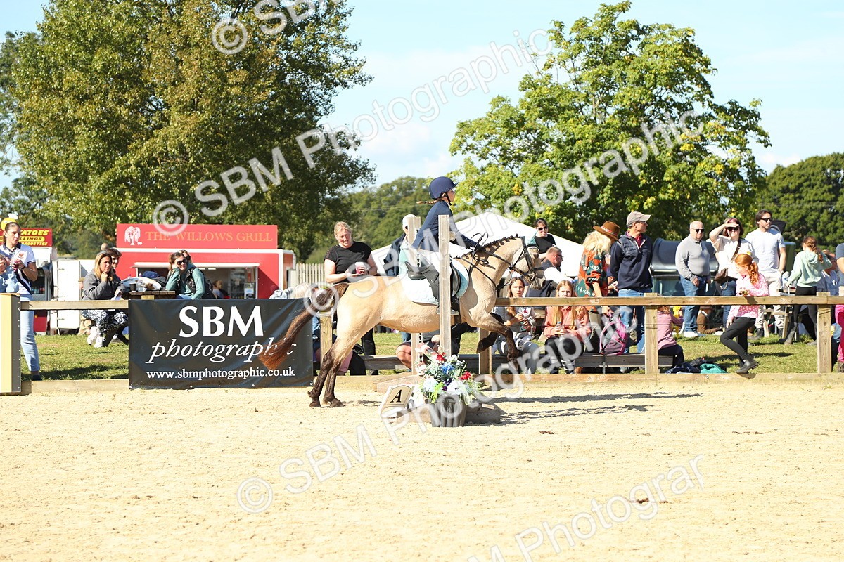 SBM_39296 - J6 - Junior Pony 55cm Championships