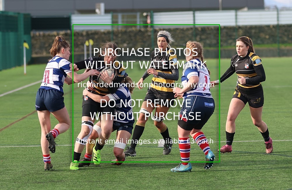 533A8775 - Kendal Wasps (14/2/26)