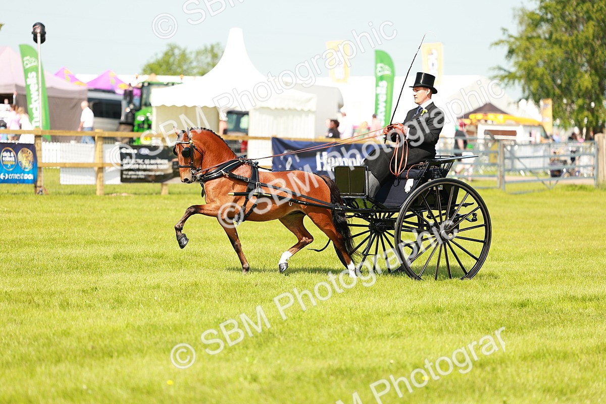 SBM_02690 - Class 2-4 - HOYS Private Driving