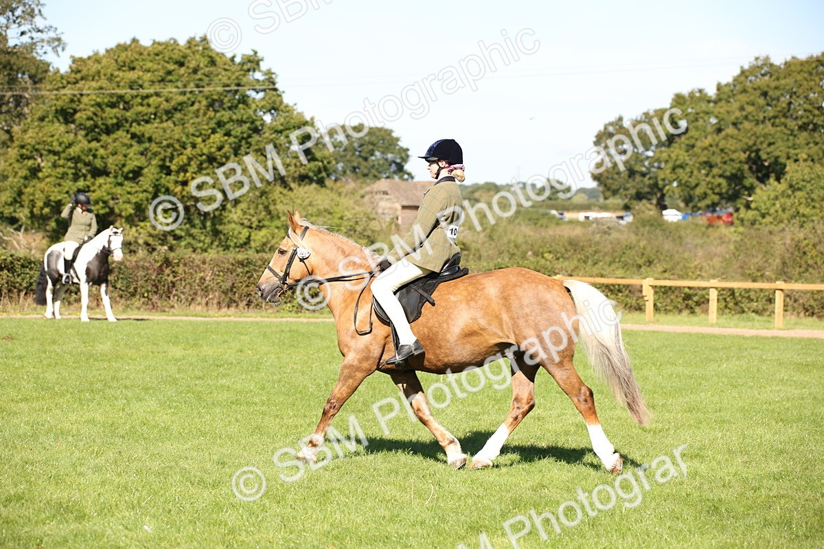 SBM_38981 - S11 - Best Ridden Horse & Pony