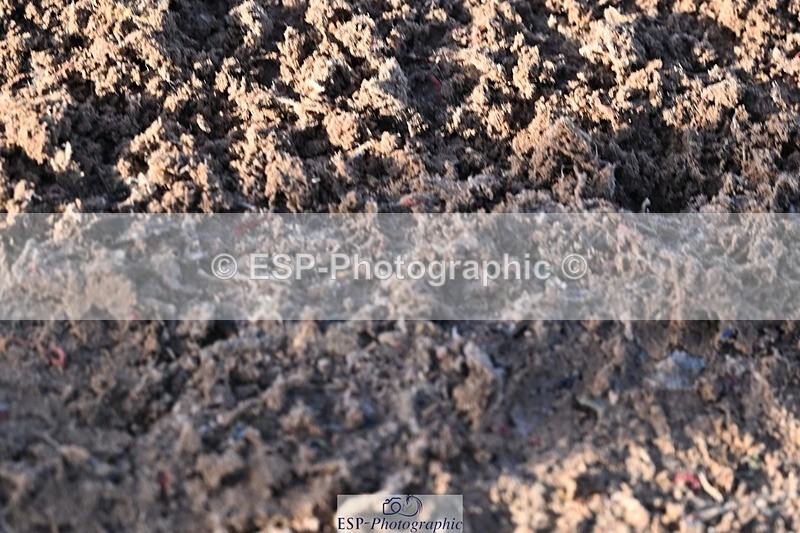 251203-125345-00577 - Cls 4 Newcomers and 1.10m Open