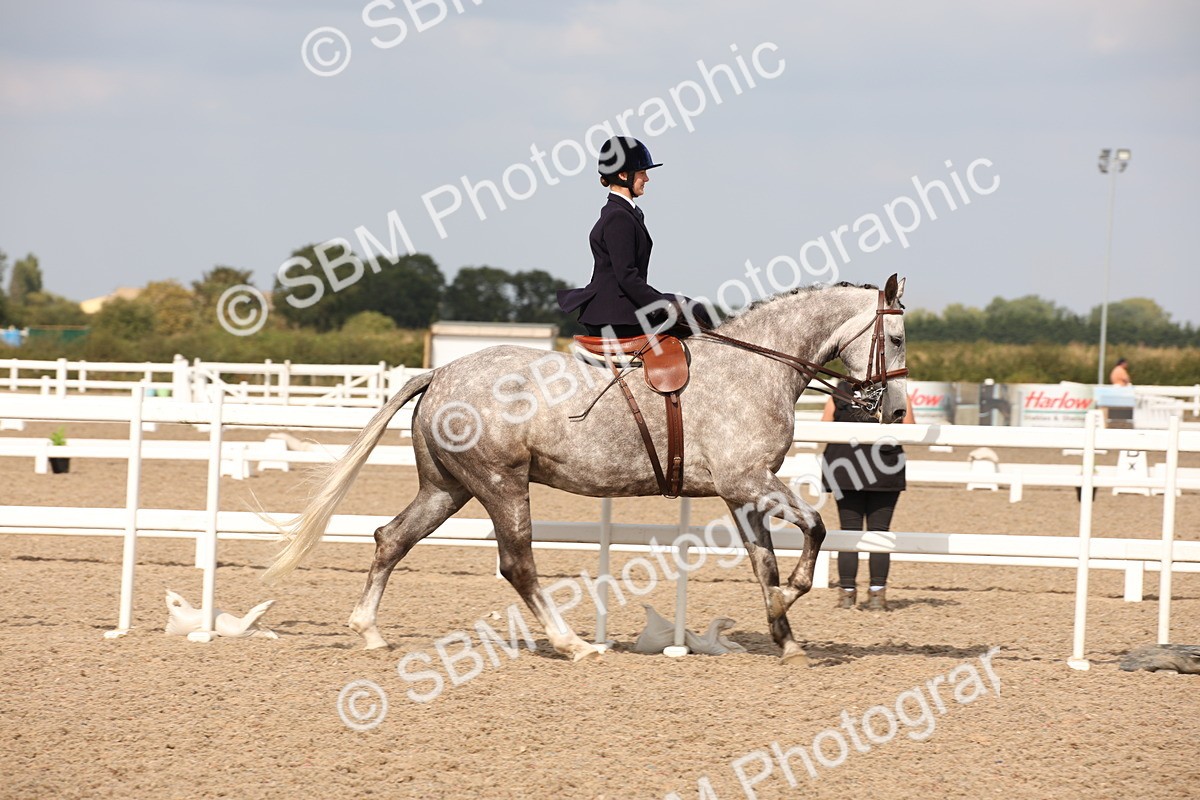 SBM_06719 - Class 24 Concours d'elegance