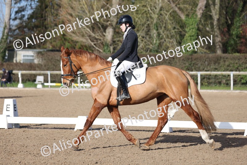 20260128-0315 - Class 3 - Novice 4