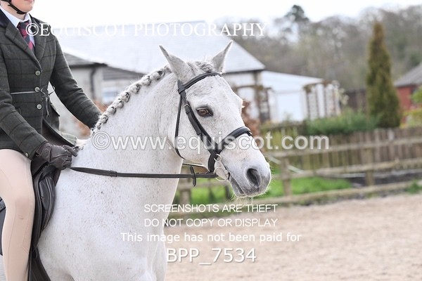 BPP_7534 - RING 1  (RIDDEN HORSES / IN HAND / VETERAN ETC)