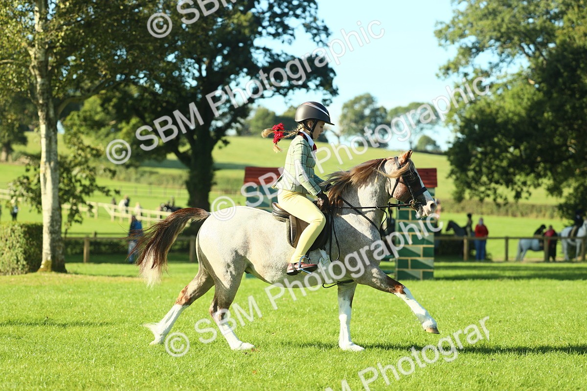 SBM_36357 - S29 - Novice & Newcomers Working Hunter Pony