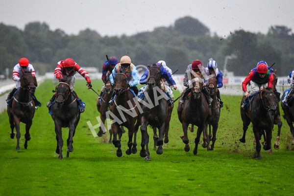 yr21082021r6-5 - Race 6 4.45pm Sky Bet Stakes