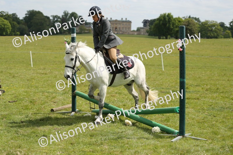 20250517-2970 - Class 25 - Horse & Hound