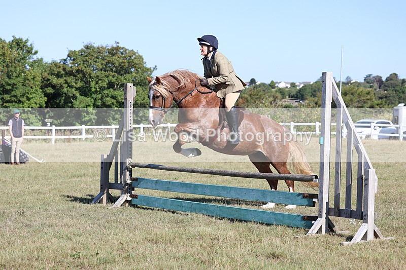 3E7A5423 - Class 3: Working Hunter 70cm