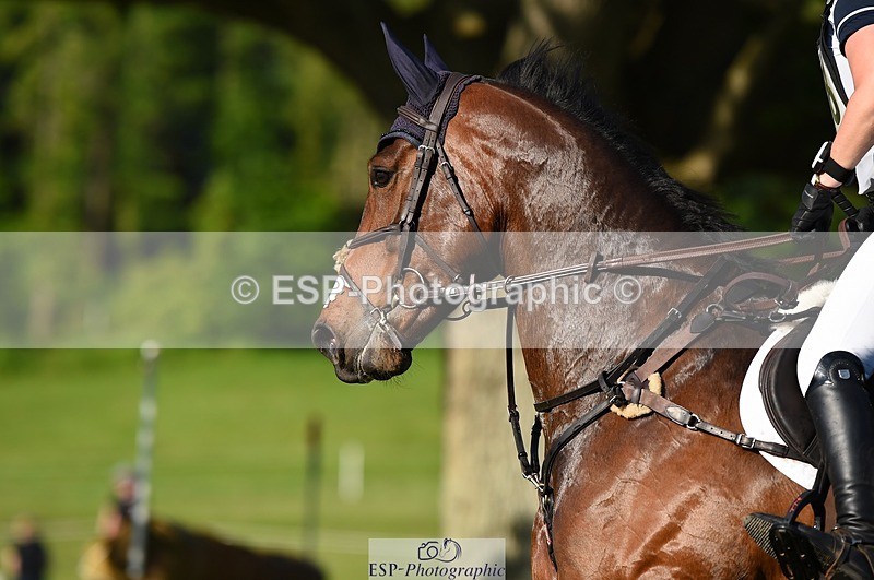 230527-180230-13712 - 168-PARKFIELD_ARTIE_BLOU-Laura_Collett-XC