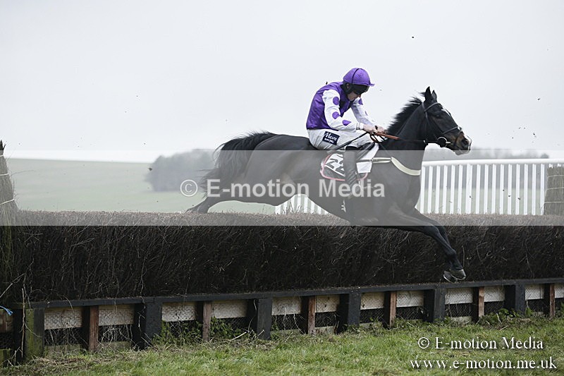PtP 020418 -445 - Old Berks Point-to-Point Races Easter Monday 02/04/18