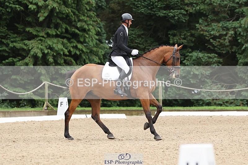 240810-135152-03518 - 178-Joe.Roome-Acqua.Marina.Della.Caccia