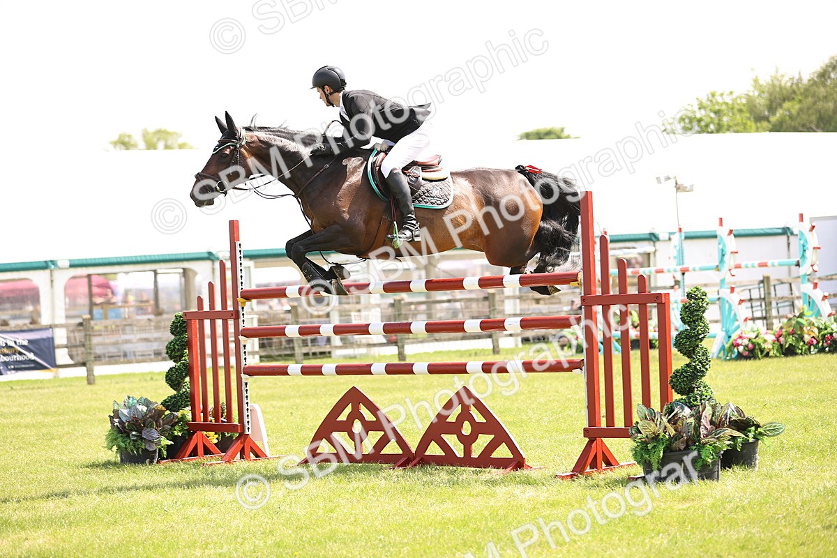 SBM_03996 - Class 201 - British Horse Feedds Speedi Beet HOYS Grade C