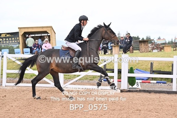 BPP_0575 - CLASS 28 SUN Nupafeeds Senior Dicovery/1m open