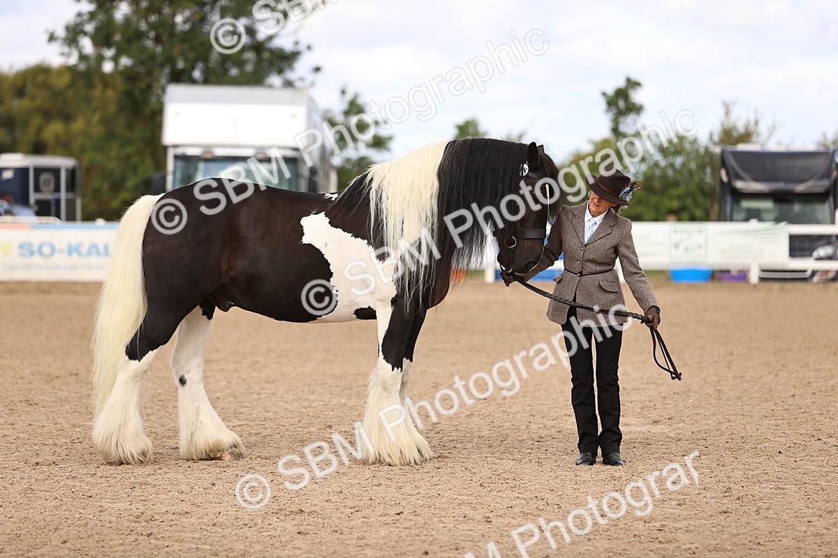 SBM_09306 - Class 404 - IH Traditional - Native Cob