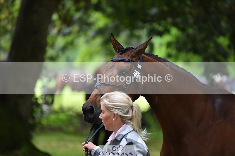 240522-165314-01229 - 276-FOURFIELDS_WONDER_WOMAN-Heidi_Coy