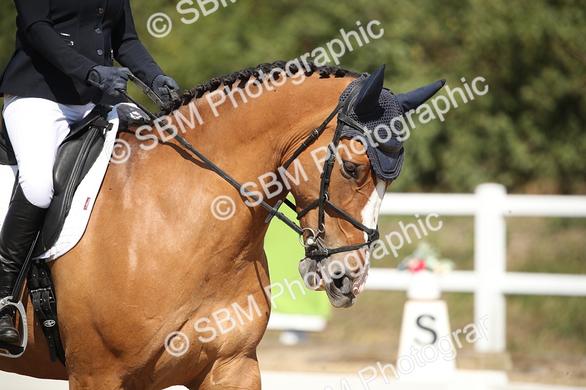 SBM_005011 - Class 11 - Novice 5 - 11.41-12.58