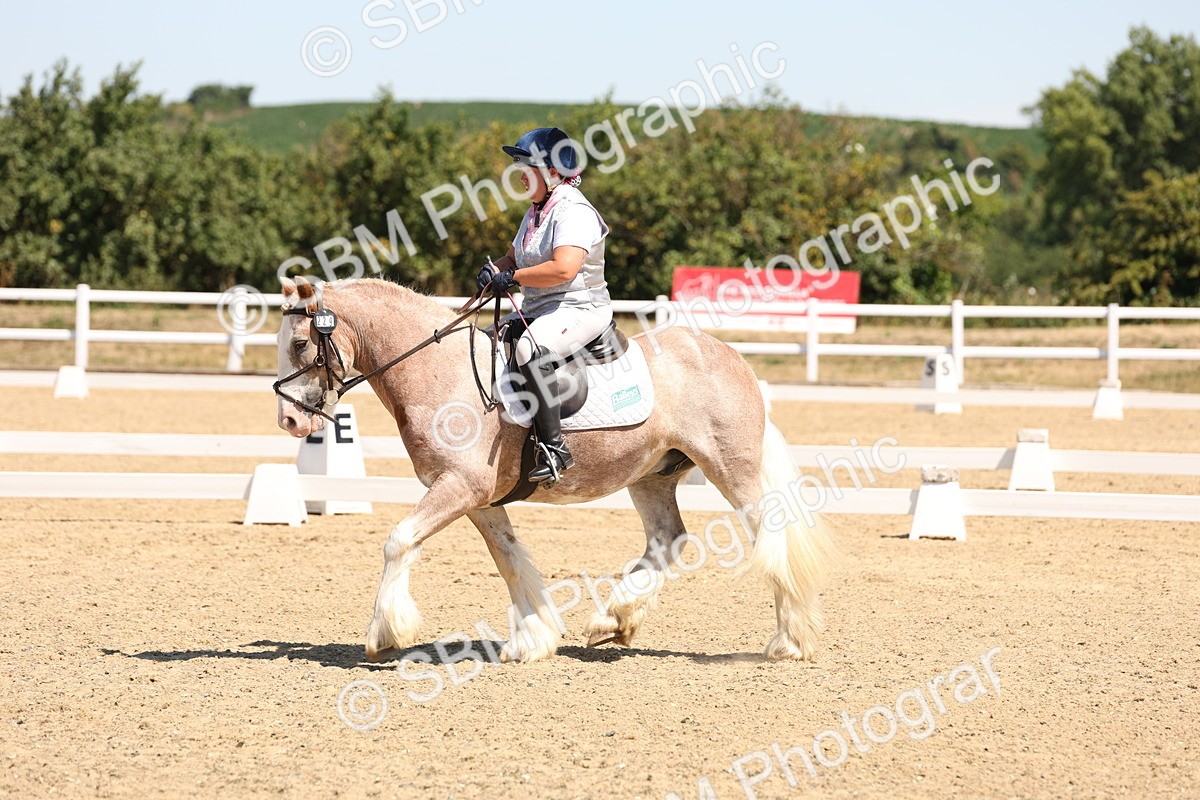 SBM_001280 - Intro 2
