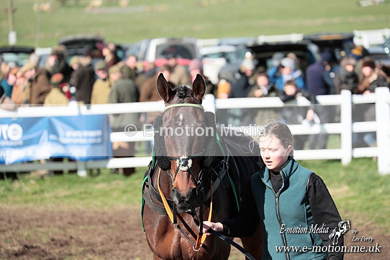 PtP 230324 636 - Tedworth Hunt PtP Larkhill Raccourse 23rd March 2024