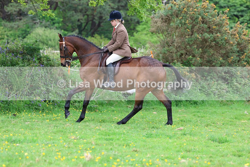 3E7A2009 - Class 10: Ridden Sports Horse