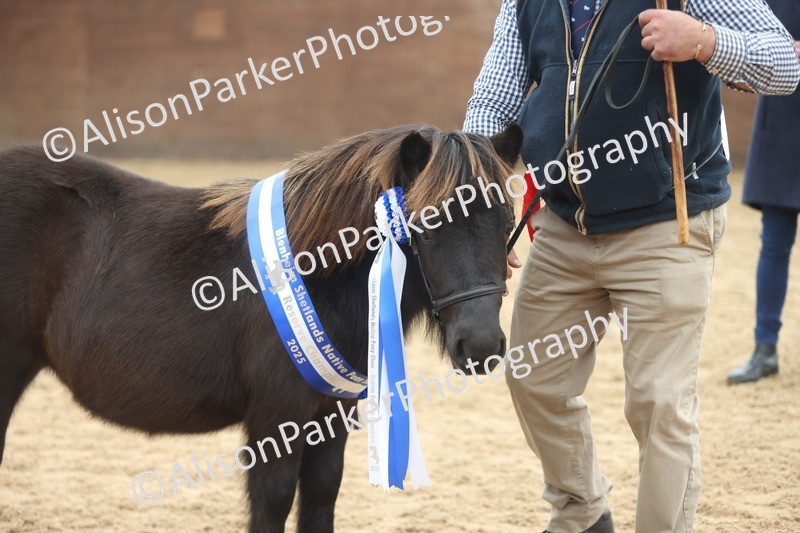 20251109-0135 - Championship