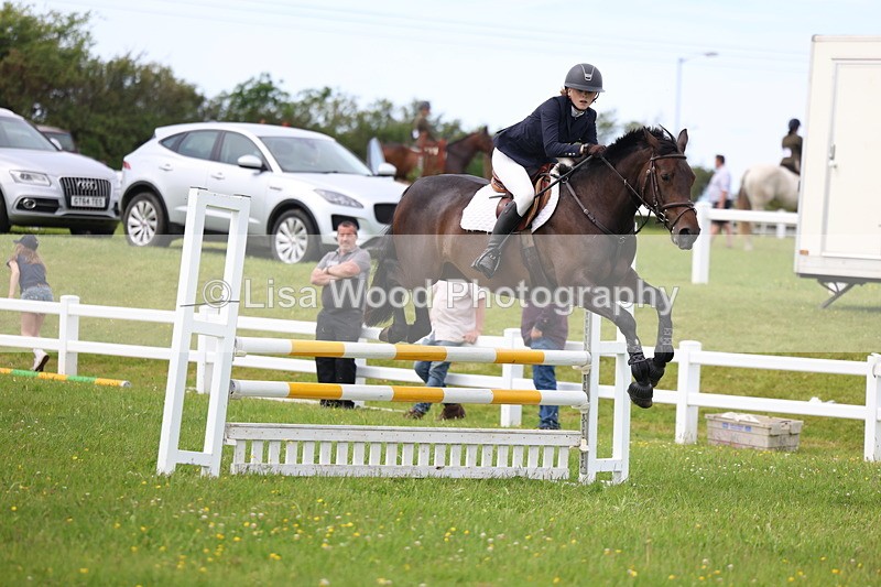 3E7A1812 - Class 13: Senior British Novice/90cm open