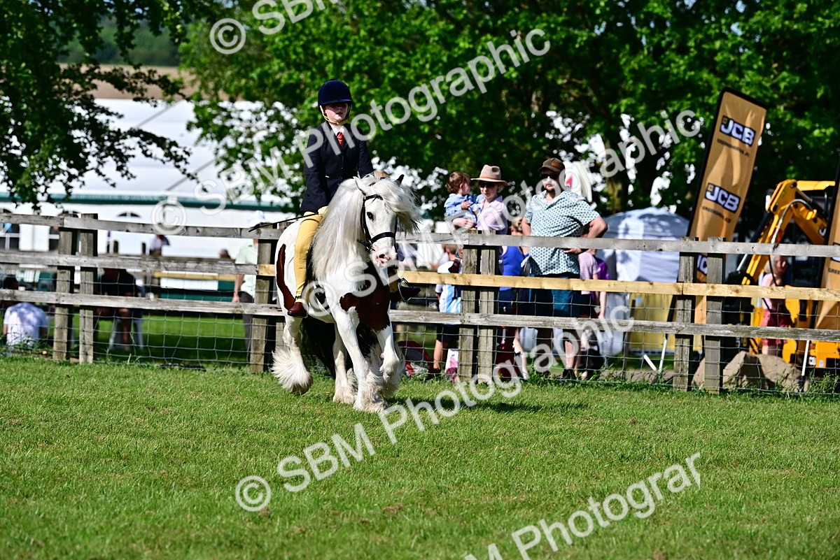 SBM_09405 - Class 63-65 - Traditional Gypsy Cobs In Hand & Ridden