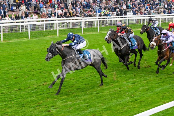 101025-Race 7-Sky Advocate-0597 - Race 7 PJ Staffing Group Apprentice Handicap at York