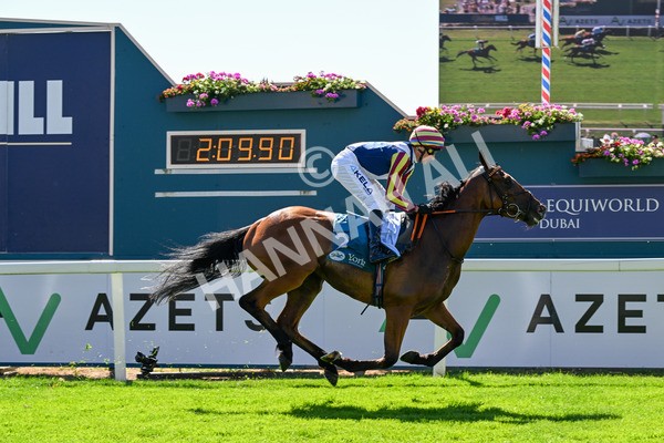 110725-Race 4-Dain Ma Nut In-0360 - Race 4 3.55pm Azets Handicap