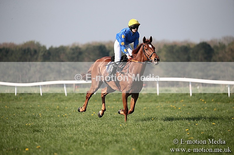 PtP 210418 492 - South & West Wilts Point-to-Point Larkhill 21/04/18