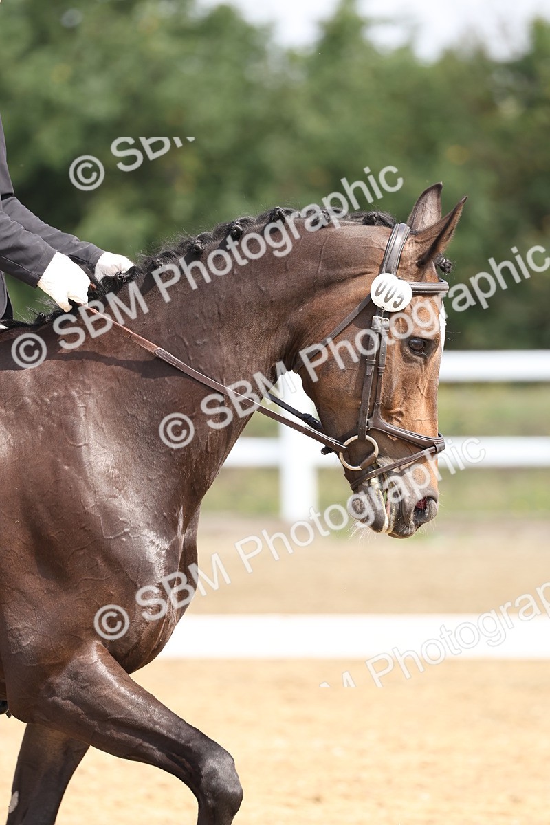 SBM_005894 - Class 6 - Novice 6 - 10.26-11.29