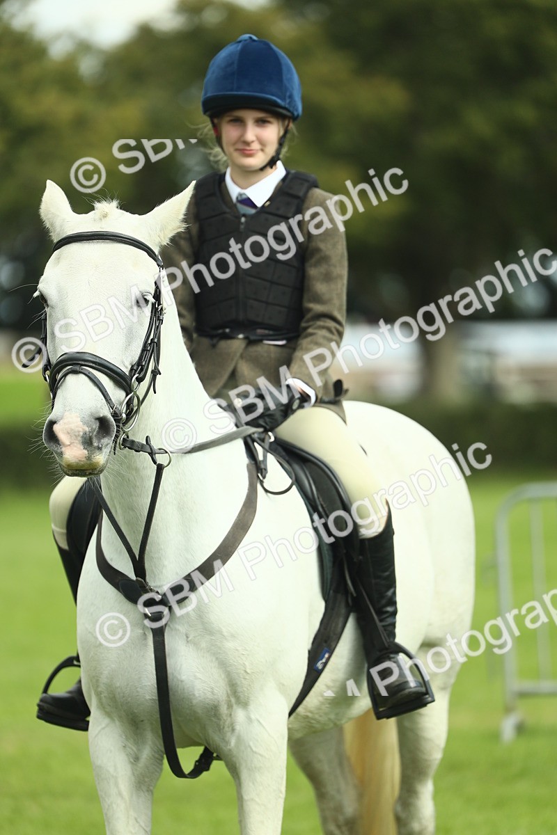 SBM_44790 - S31 - Working Hunter Pony