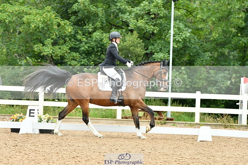 230701A-114926-05569 - Cls 7 Elementary 45