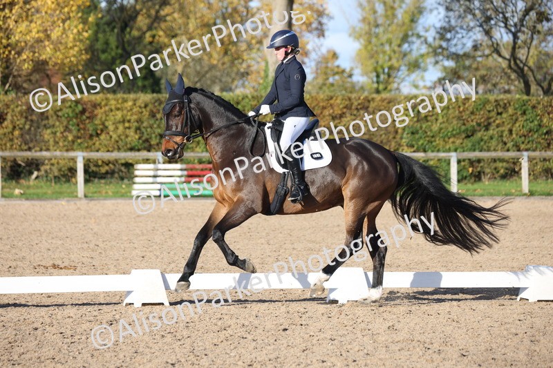 20251102-1217 - Class 7 - Medium 5