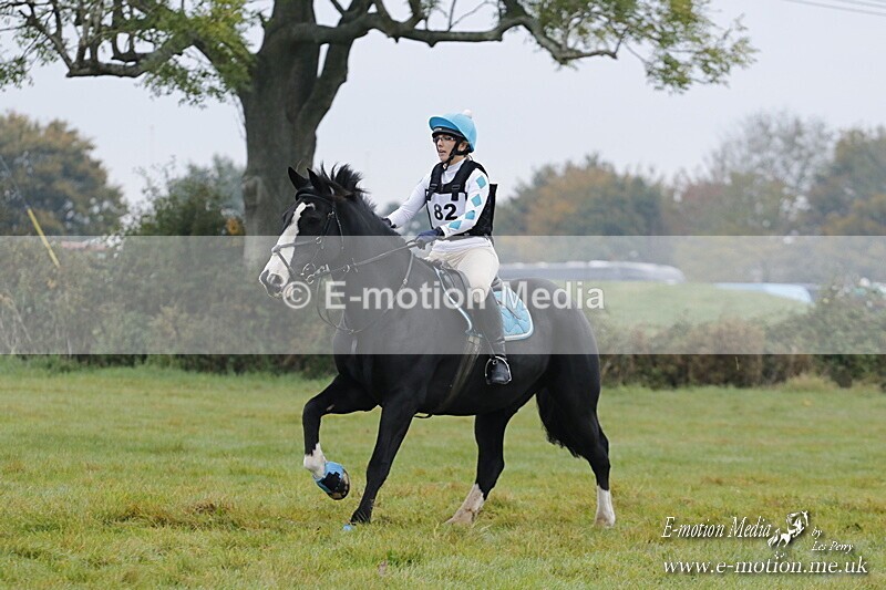 WWHT 181020 WWHT 181020 168 - WWEC Novice Restricted (0.80m) 18/10/20