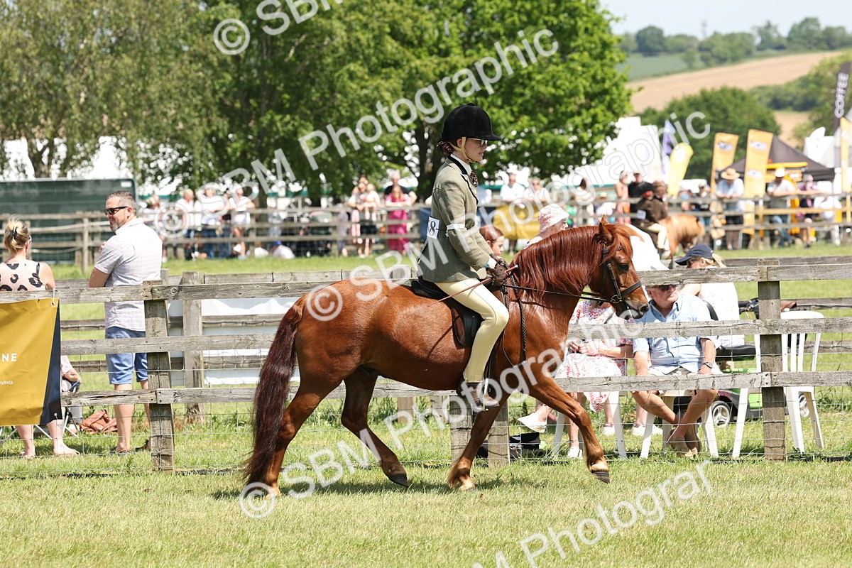 SBM_06816 - Class 26-30 - Mountain and Moorland Ridden