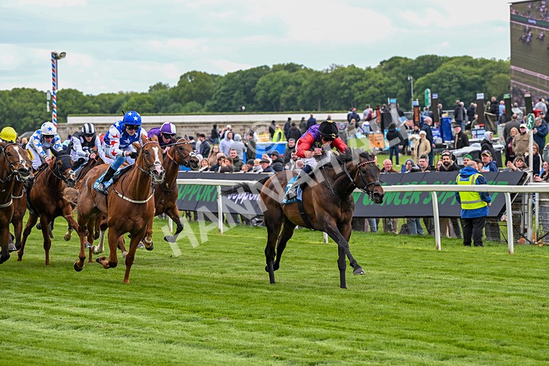 150526-Race 3-Warrant Holder-7540 - Race 3 2.55pm Support Macmillan Charity Raceday On 13 June Handicap