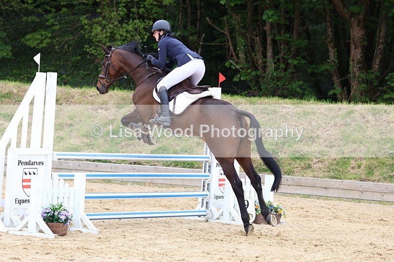 3E7A6452 - Class 4: Senior British Novice/90cm open