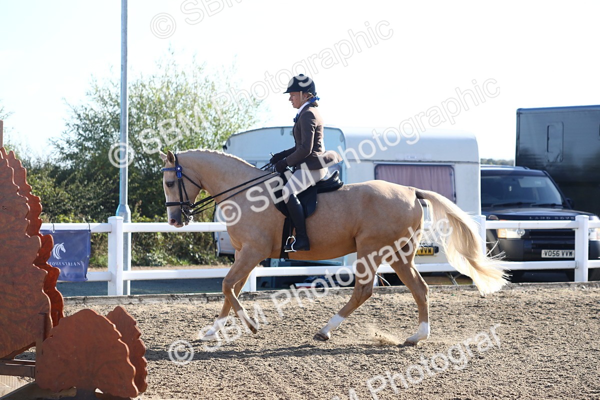 SBM_08583 - Class 502 - Riding Club Horse