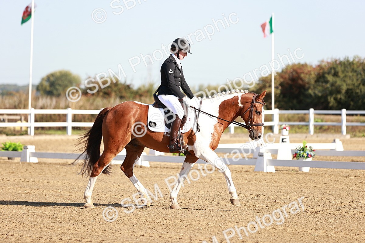 SBM_004207 - Class 12 - Novice 5 - 9.07-10.10