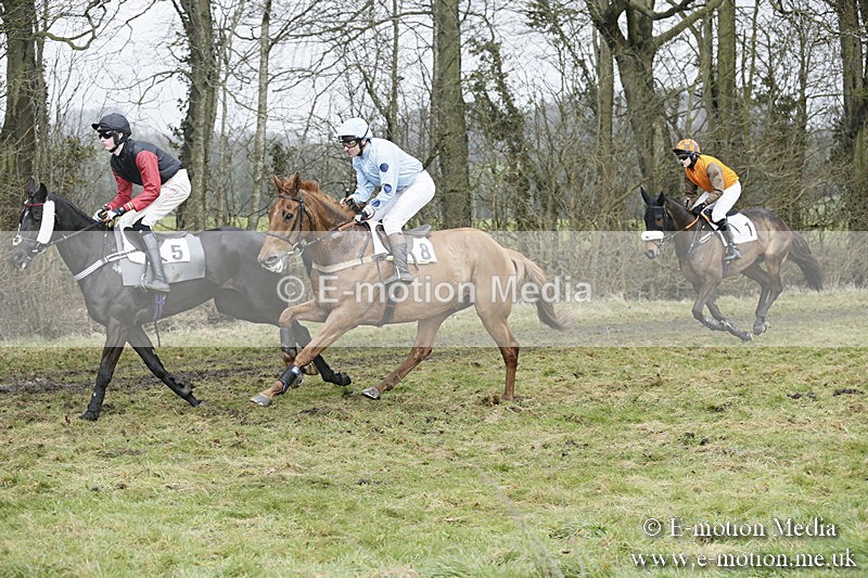 PtP 020418 -382 - Old Berks Point-to-Point Races Easter Monday 02/04/18