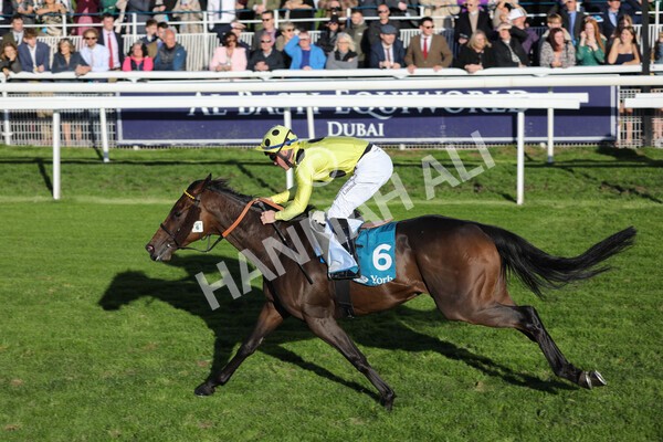 yr08102022r6-35 - Race 6 4.25pm The Watch Racing Online Free With Coral Handicap Stakes