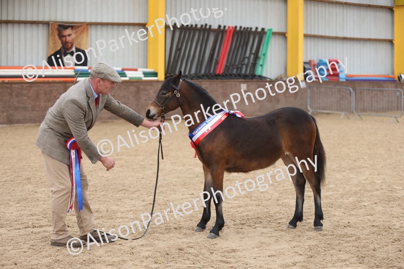 20251109-0714 - Championship