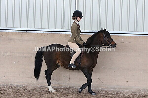 SIAL6159 - Neighfield Pony Show April 2025